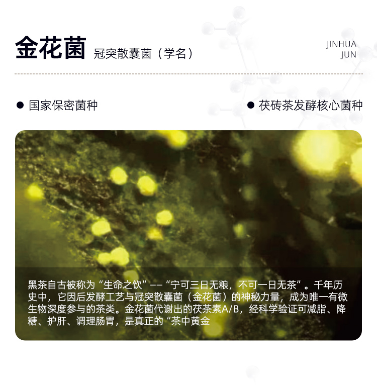 茶-普洱详情_02.jpg
