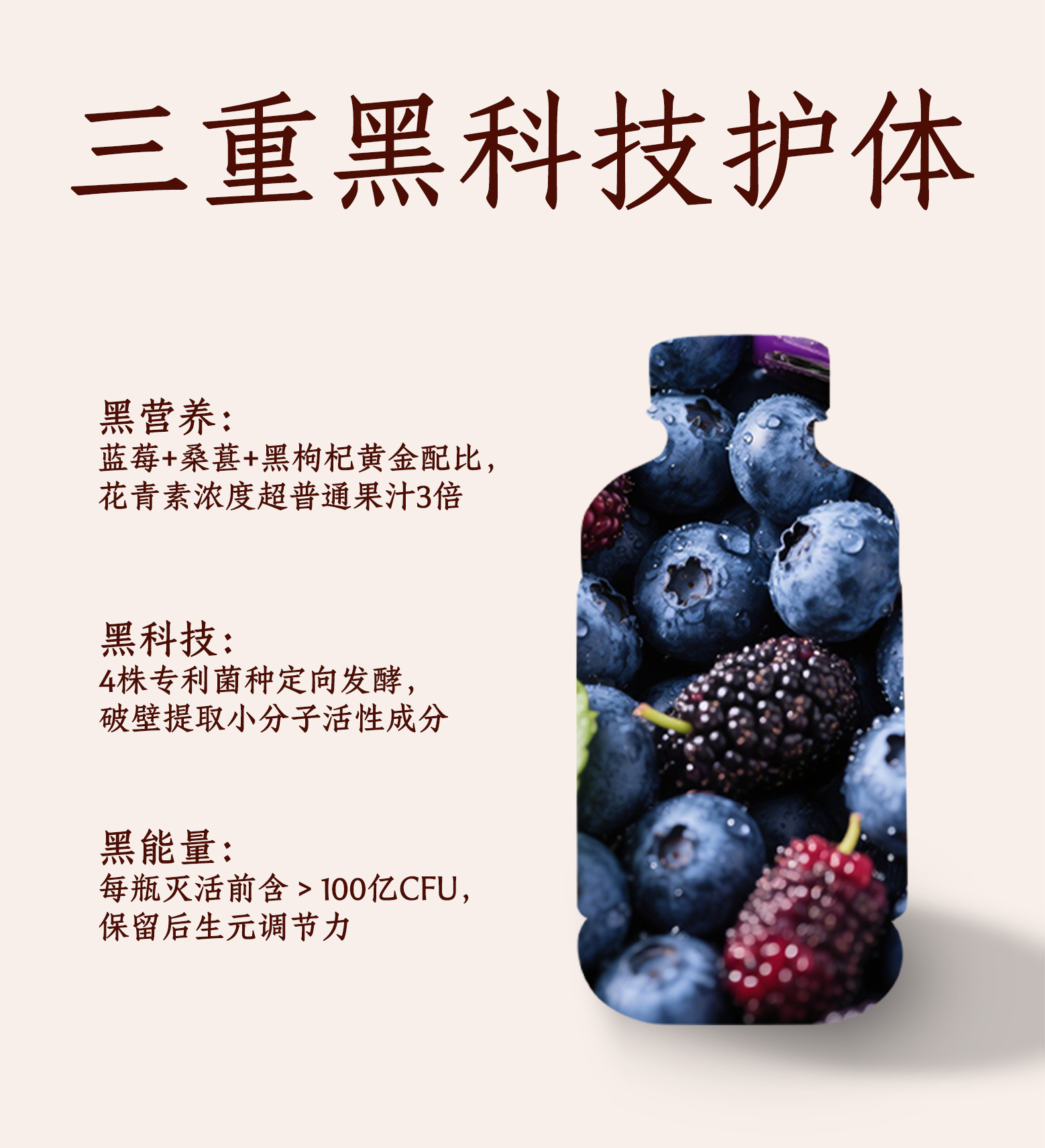 红豆薏米-三黑轻酵饮详情页_04.jpg