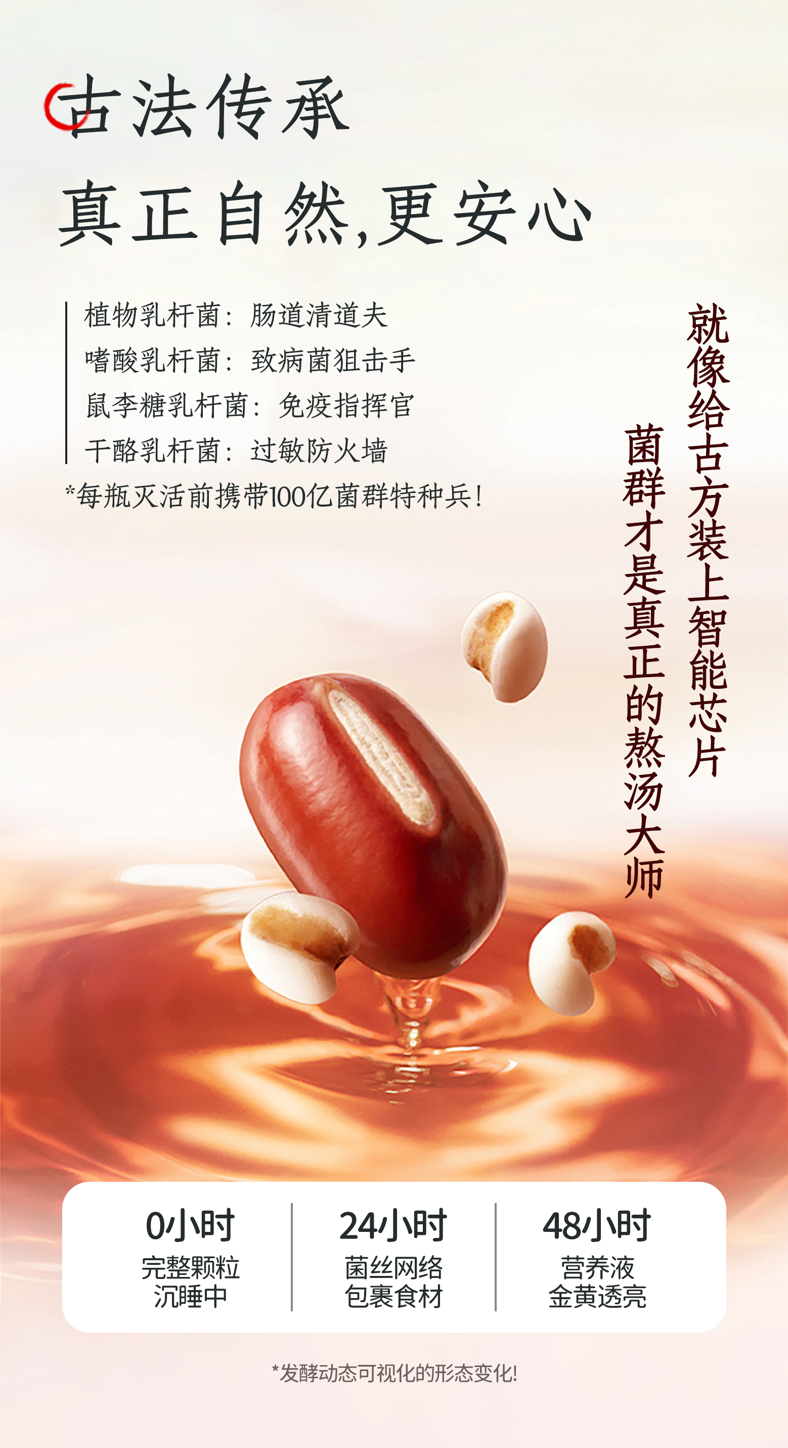 红豆薏米-三黑轻酵饮详情页_02.jpg