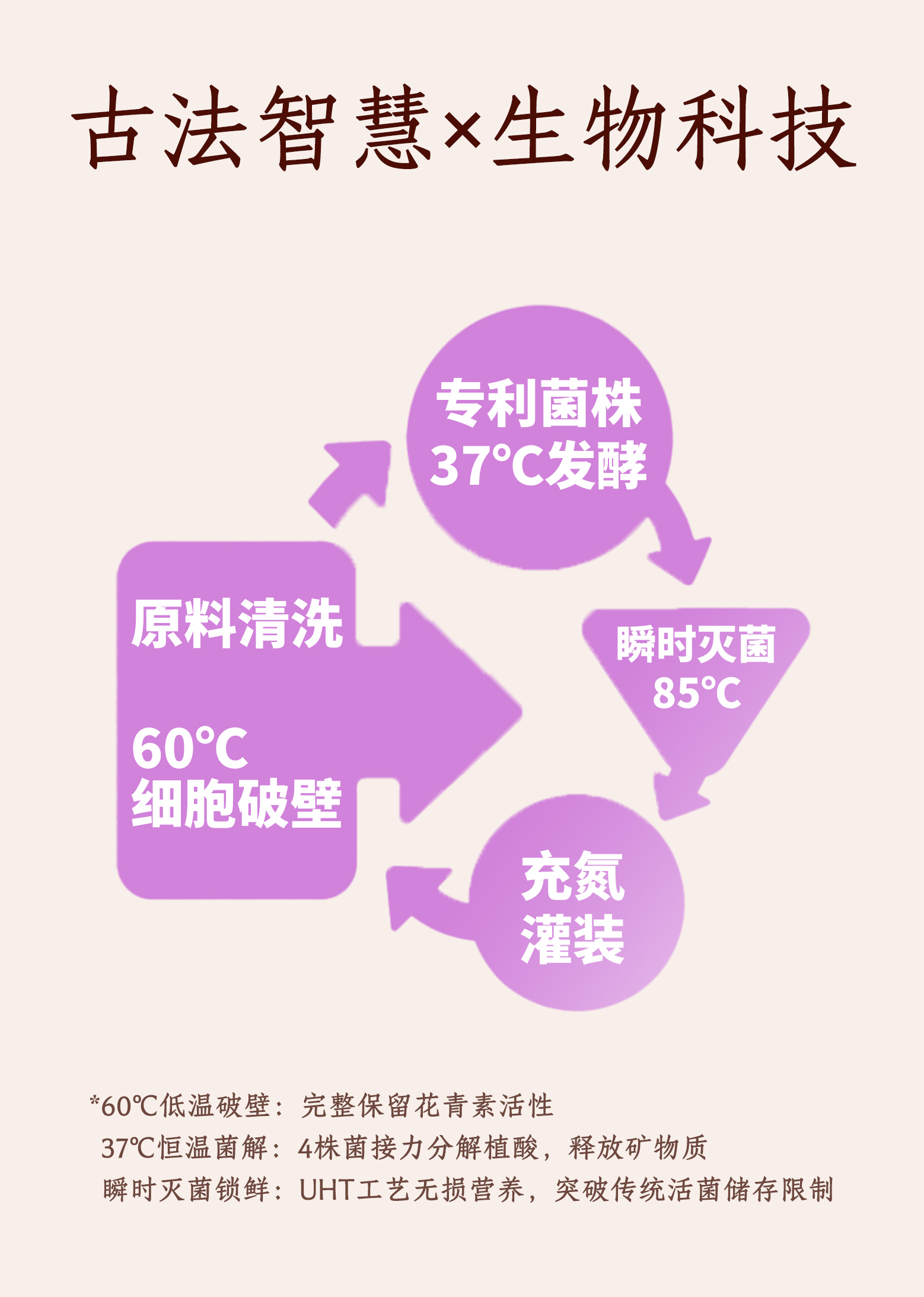 红豆薏米-三黑轻酵饮详情页_05.jpg