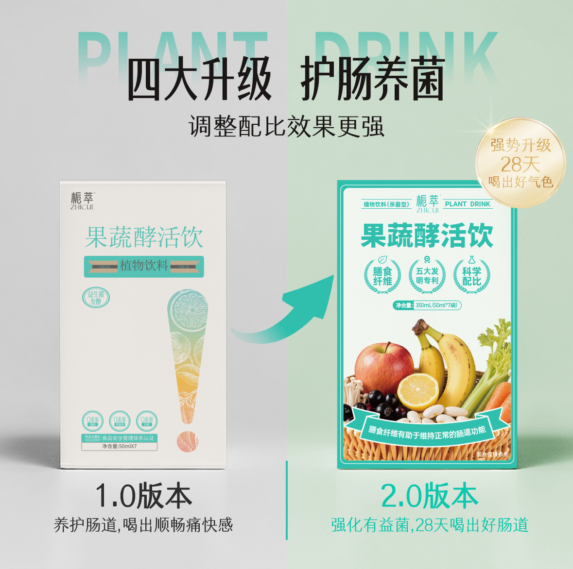 四大升级 护肠养菌.jpg