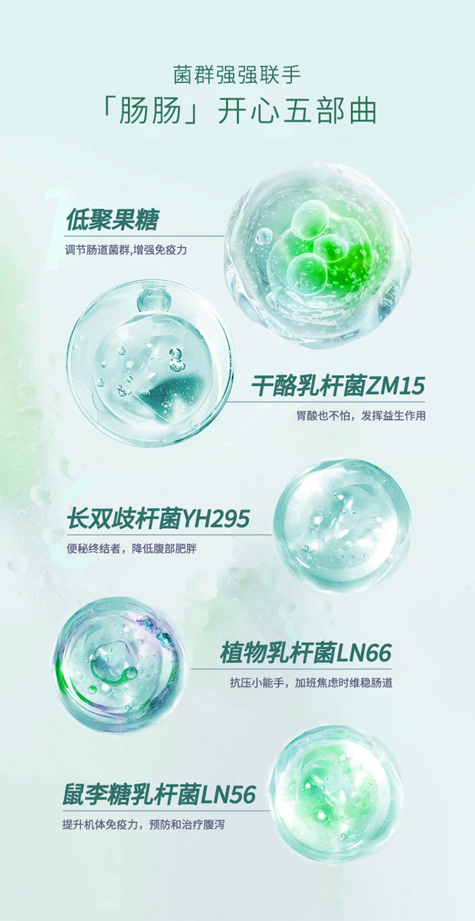 09 拷贝.jpg