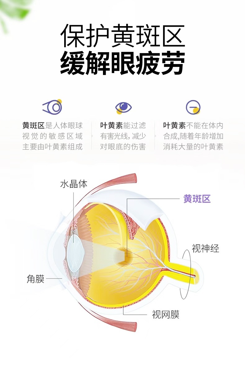 微信图片_20240628132522.jpg
